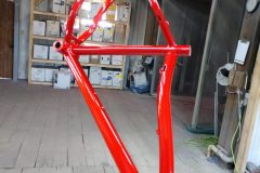 IMG_20200416_170221798-scaled